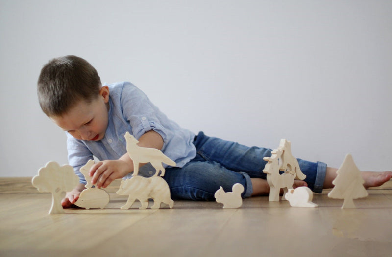 Jouets scientifiques en bois pour enfants