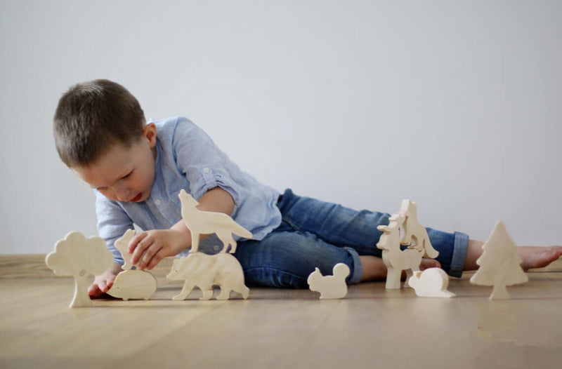 Développez la compréhension scientifique de vos enfants avec nos jouets en bois! Un cadeau éducatif parfait pour explorer le monde de la nature.