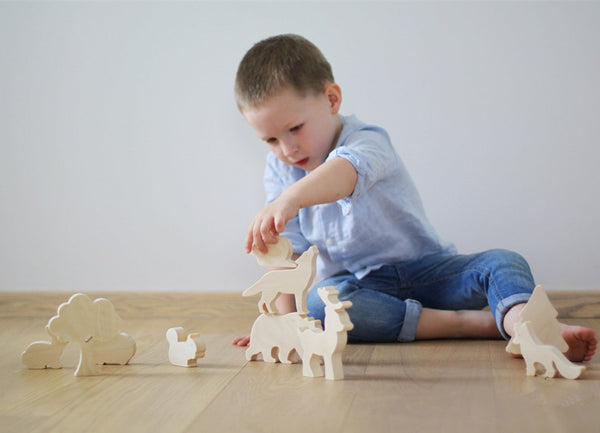 Jouets scientifiques en bois pour enfants : Apprendre en s'amusant ! Explorez la nature avec nos modèles écologiques. Dimensions variées, emballage pratique.