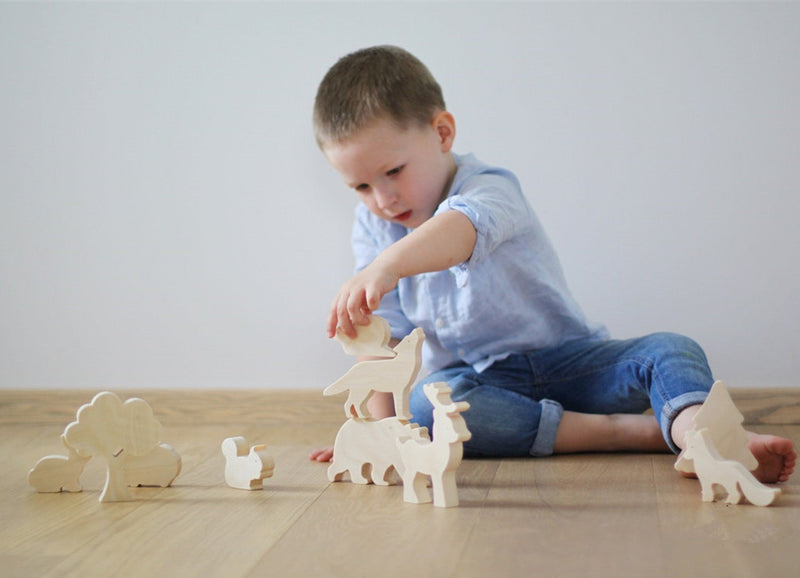 Jouets scientifiques en bois pour enfants : Apprendre en s'amusant ! Explorez la nature avec nos modèles écologiques. Dimensions variées, emballage pratique.